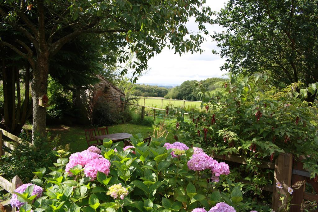 Wallace Lane Farm Westward Bagian luar foto