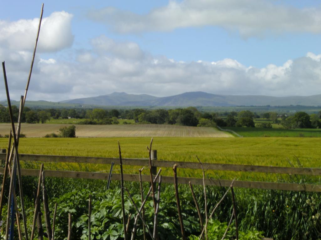 Wallace Lane Farm Westward Bagian luar foto