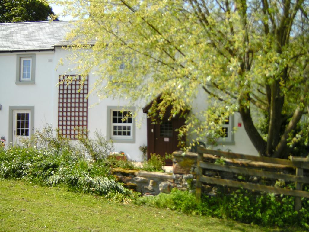 Wallace Lane Farm Westward Bagian luar foto